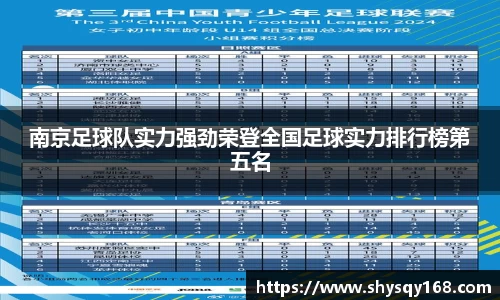 南京足球队实力强劲荣登全国足球实力排行榜第五名