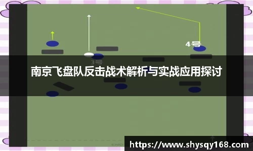 南京飞盘队反击战术解析与实战应用探讨