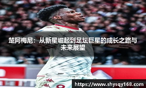 k1体育官方网站