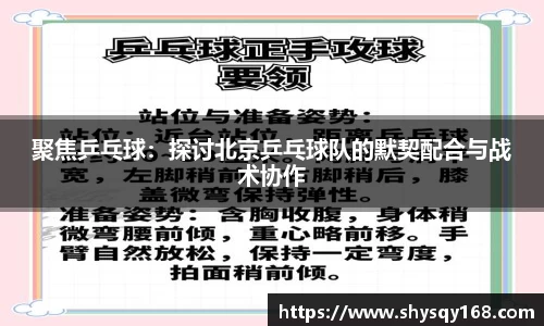 聚焦乒乓球：探讨北京乒乓球队的默契配合与战术协作