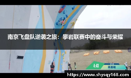 南京飞盘队逆袭之旅：攀岩联赛中的奋斗与荣耀